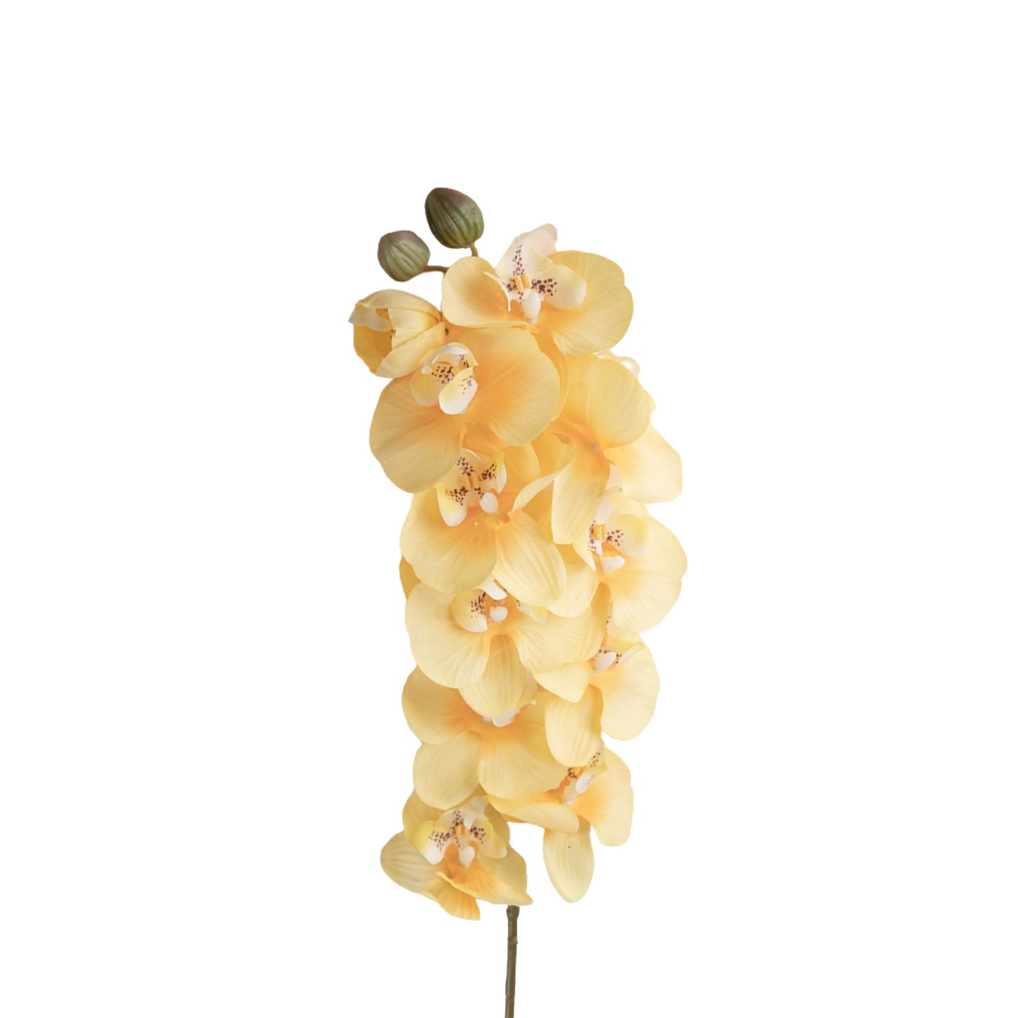 Set of 2 Artificial Phalaenopsis Orchid Stems, 28 inches