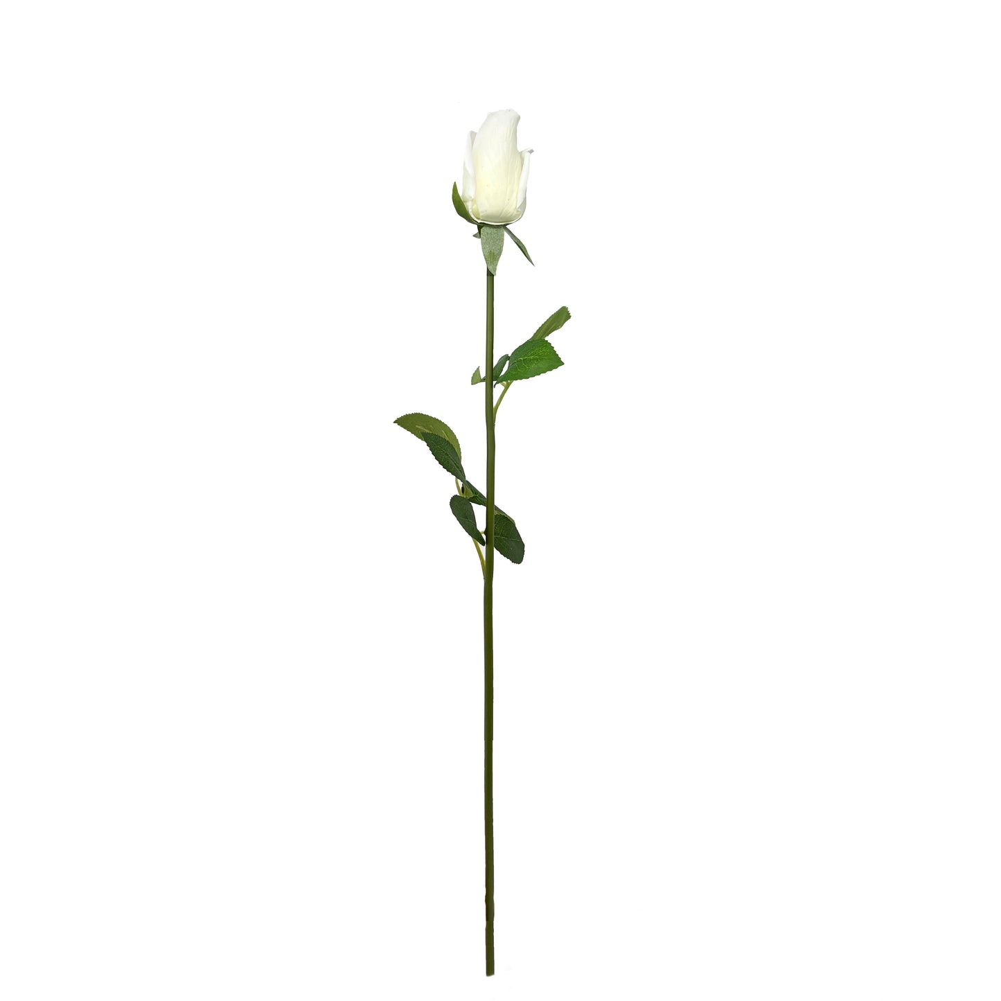 Artificial Rose Stems (Set of 6) with Realistic Feel