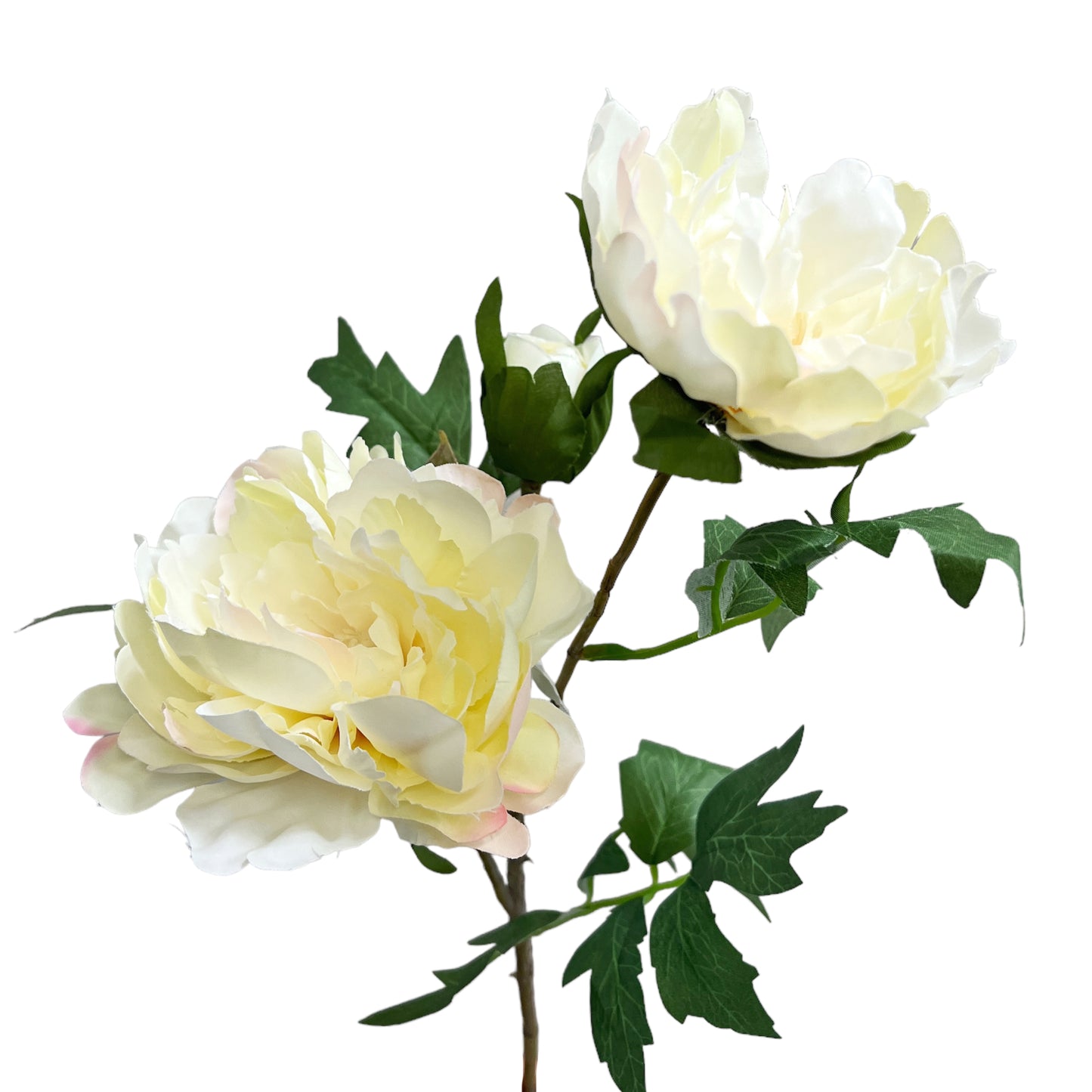 Artificial Peony Stems, Set of 3, 21in Tall