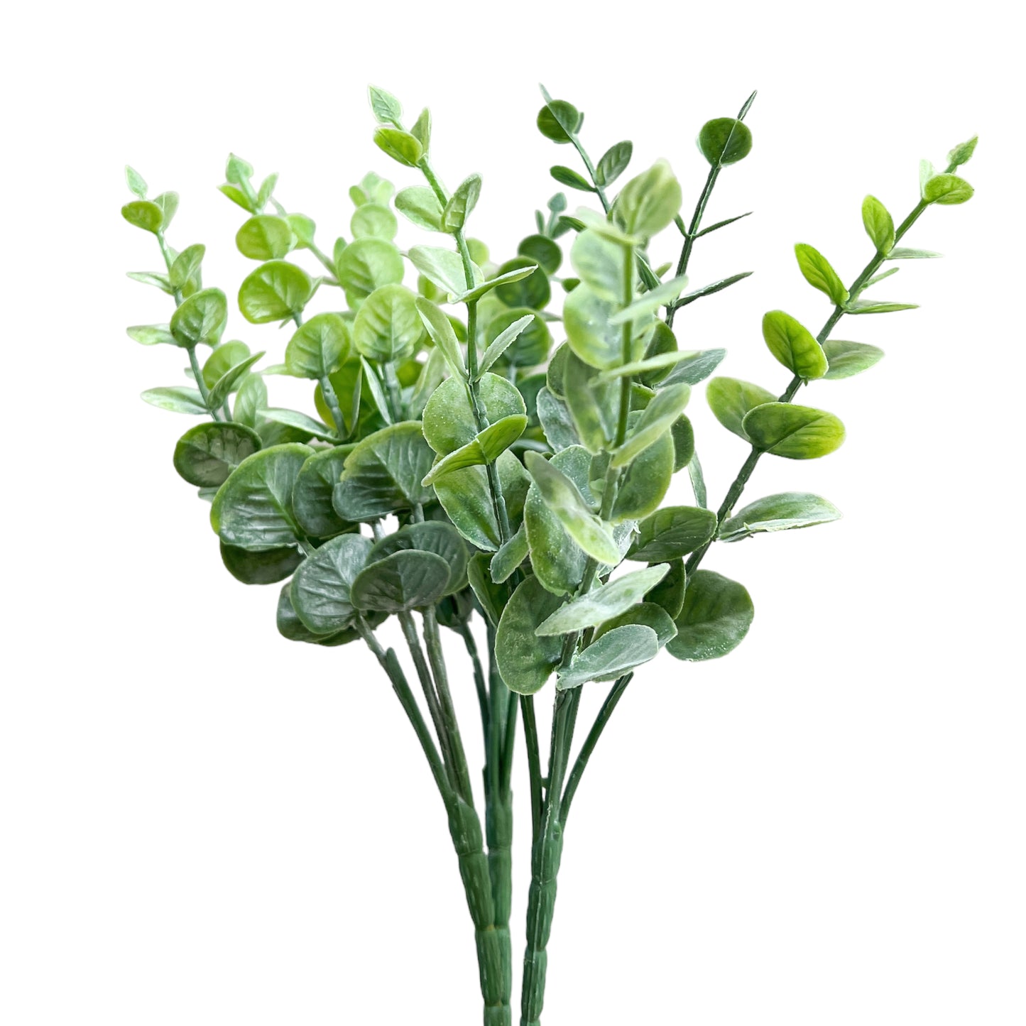 Artificial Eucalyptus Stems (Set of 3)