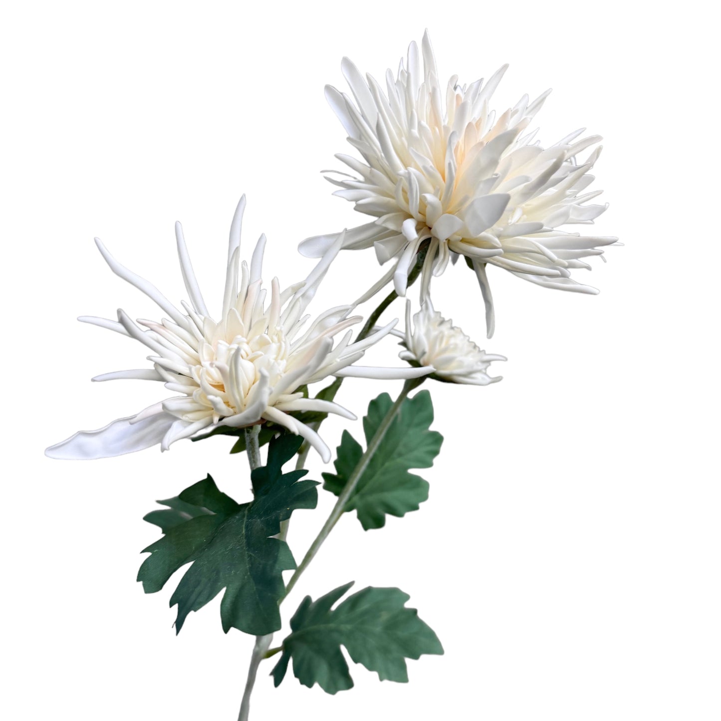 Set of 2 Artificial Spider Chrysanthemum Stems, 26 inches Tall