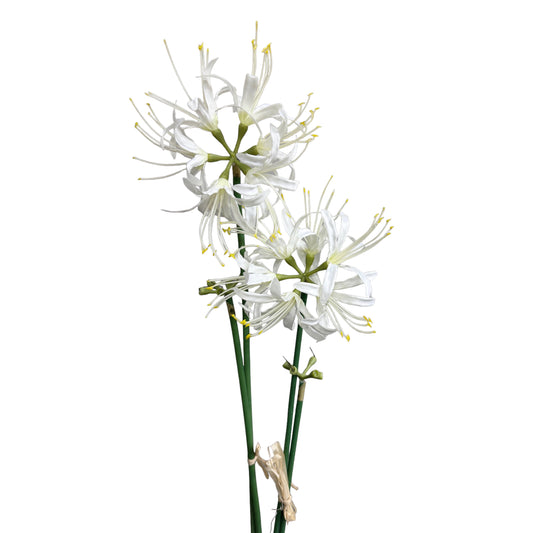 Set of 2 Artificial Spider Lily Stems, 24 inches Tall