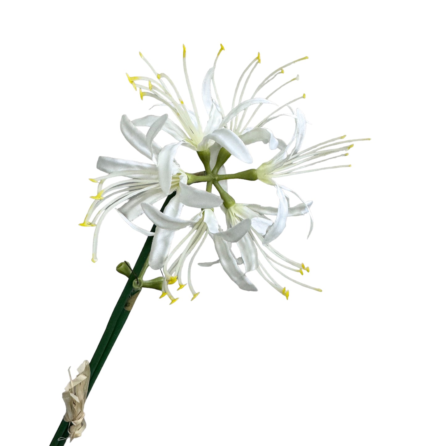 Set of 2 Artificial Spider Lily Stems, 24 inches Tall