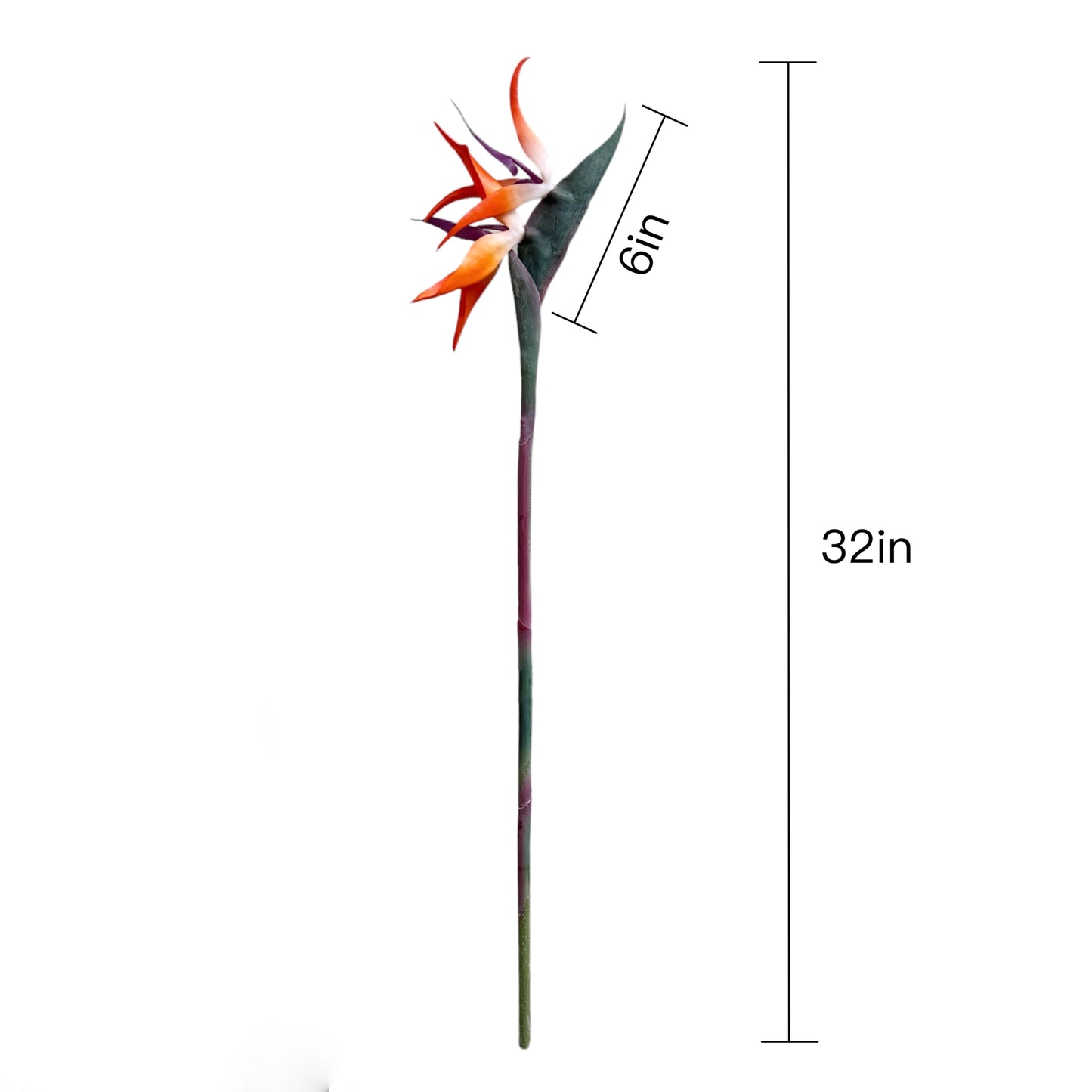 Set of 2 Flexible Artificial Bird of Paradise Stems, 32 inches Tall