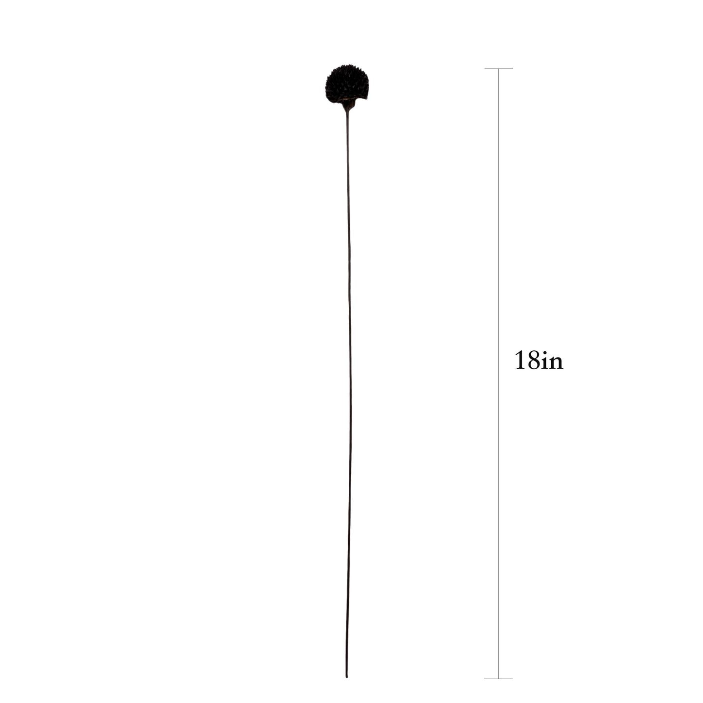 Rustic Black Echinops Bundle - 18-inch Artificial Thistle Flower Stems, Set of 10
