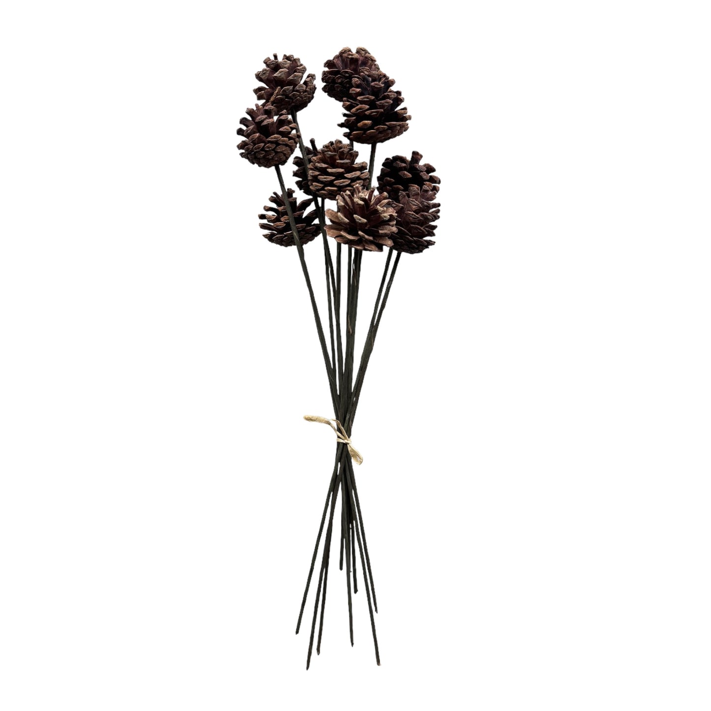 Woodland Charm Pinecone Stems - 19-inch Flexible Artificial Pine Picks, Set of 10