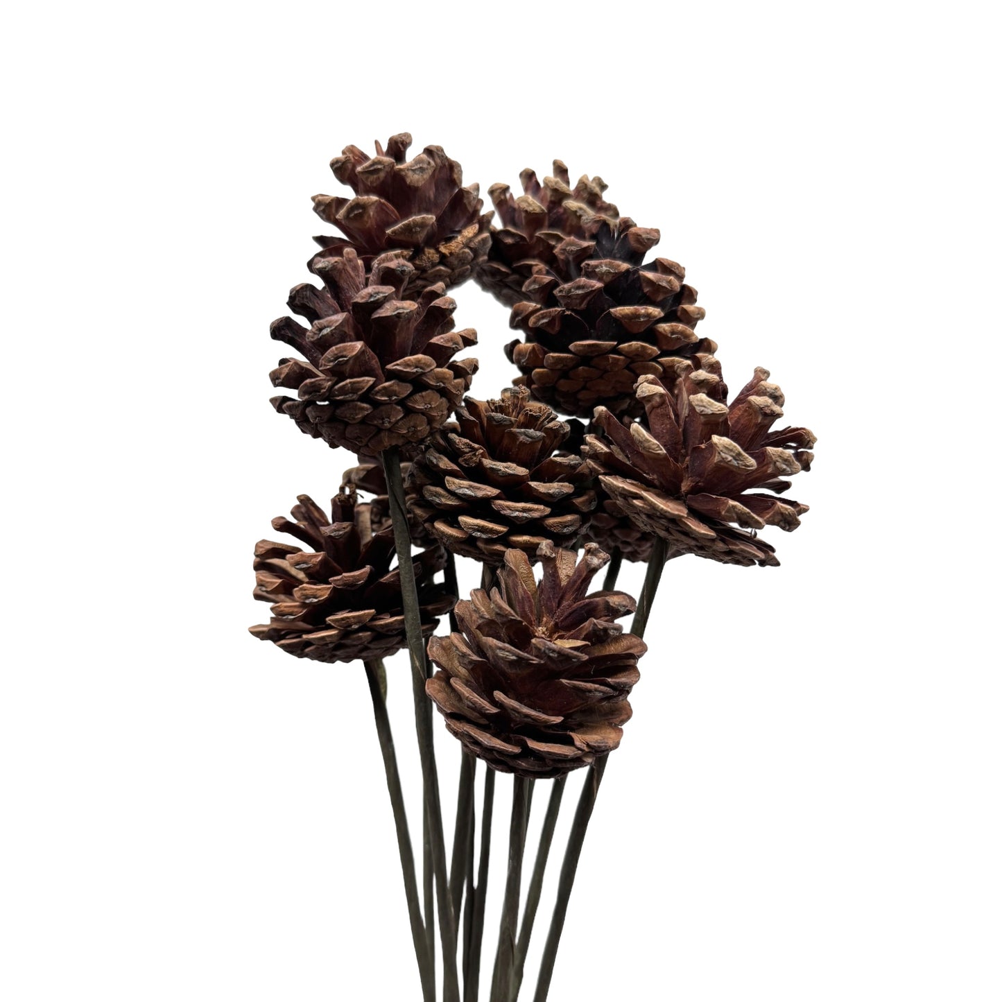 Woodland Charm Pinecone Stems - 19-inch Flexible Artificial Pine Picks, Set of 10