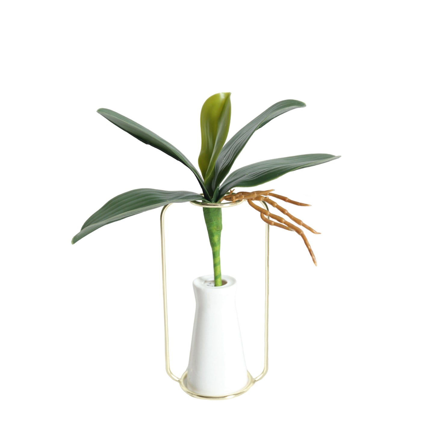 Artificial Green Phalaenopsis Orchid Leaves Latex Real Touch Plants (Pack of 2)