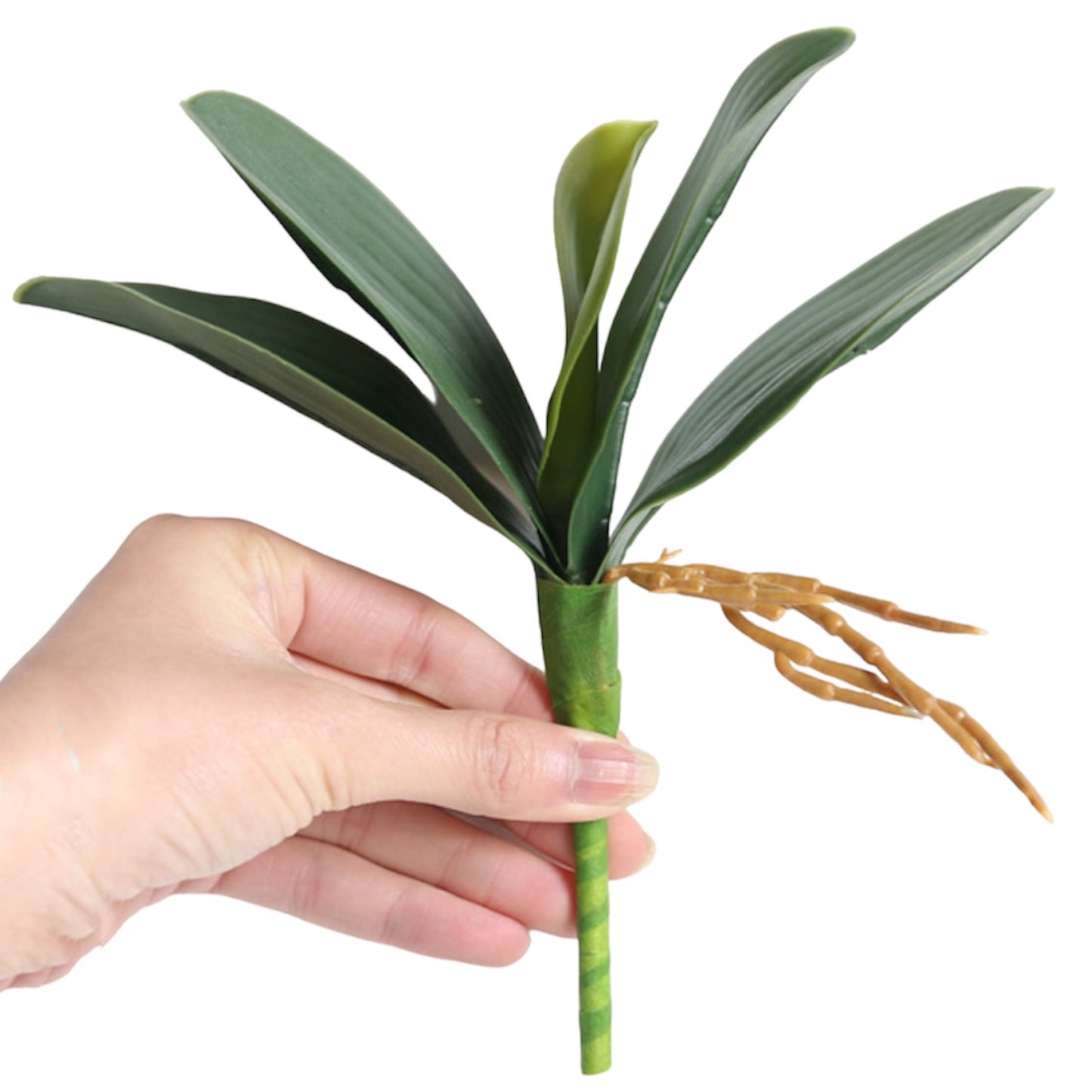 Artificial Green Phalaenopsis Orchid Leaves Latex Real Touch Plants (Pack of 2)
