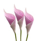Artificial Calla Lily Flower Stems 25 inch Tall (Set of 3)