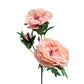 Artificial Peony Stems, Set of 3, 21in Tall