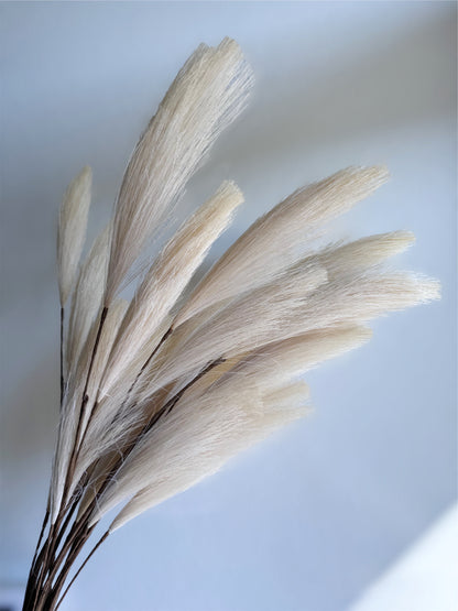 Set of 10 Artificial Pampas grass Stems 31 inch Tall