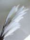 Set of 10 Artificial Pampas grass Stems 31 inch Tall
