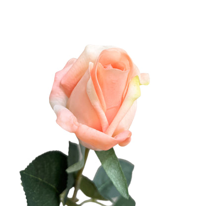 Set of 6 Realistic Stemmed Artificial Roses with Lifelike Touch