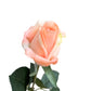 Set of 6 Realistic Stemmed Artificial Roses with Lifelike Touch