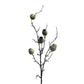Set of 2 Long-Stemmed Poppy Pipes with Fruit-Shaped Bowls