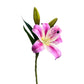 Set of 2 Elegant Artificial Lily Stems, with Blooms and Buds