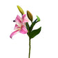 Set of 2 Elegant Artificial Lily Stems, with Blooms and Buds