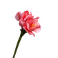 Elegant Artificial Amaryllis Duo, 24" with Flexible Stems
