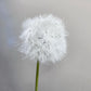 Set of 2 Elegant Bendable Artificial Dandelion Stems, 27 inches Tall