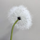 Set of 2 Elegant Bendable Artificial Dandelion Stems, 27 inches Tall