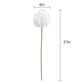 Set of 2 Elegant Bendable Artificial Dandelion Stems, 27 inches Tall