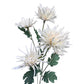 Set of 2 Artificial Spider Chrysanthemum Stems, 26 inches Tall
