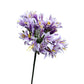 Agapanthus Artificial Flowers Set - 2-Pack Long-Stem 32" African Lily Elegance