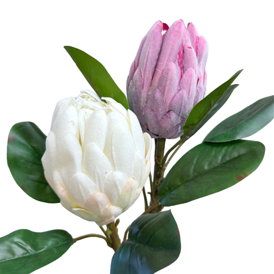 Artificial Protea Stem with Large Bloom, 20 Inches Tall