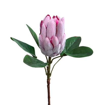 Artificial Protea Stem with Large Bloom, 20 Inches Tall