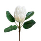 Artificial Protea Stem with Large Bloom, 20 Inches Tall
