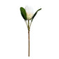 Artificial Protea Stem with Large Bloom, 20 Inches Tall