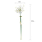Set of 2 Artificial Spider Lily Stems, 24 inches Tall