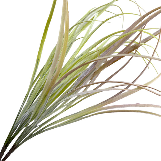 Set of 2 Variegated Sword Leaf Sprays Stems, 28 Inches