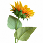 Real Touch PU Sunflower Stems – Set of 2