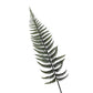 Set of 3 Flexible-Stem Artificial Fern Leaves - 18" Height