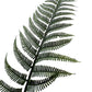 Set of 3 Flexible-Stem Artificial Fern Leaves - 18" Height