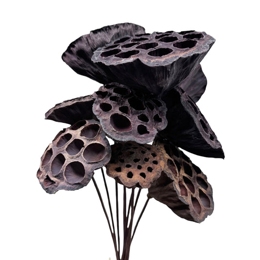 Dark Lotus Pod Accents - 18-inch Flexible Stem Decor, Set of 10