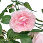 Flexible Artificial Peony Vine for Wall Decor, 70 inches