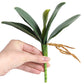 Artificial Green Phalaenopsis Orchid Leaves Latex Real Touch Plants (Pack of 2)
