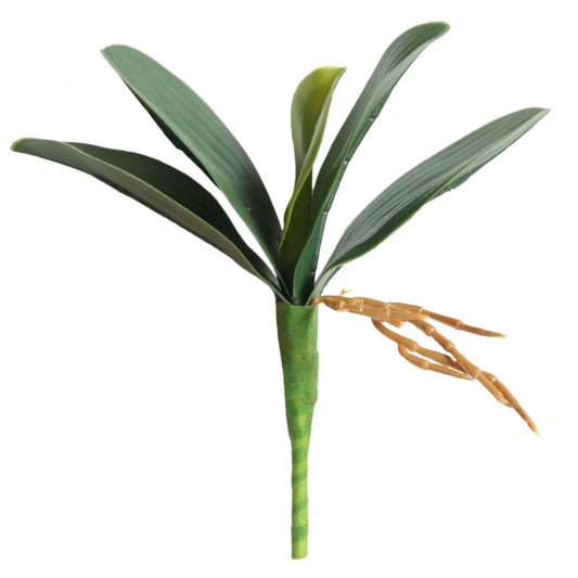 Artificial Green Phalaenopsis Orchid Leaves Latex Real Touch Plants (Pack of 2)