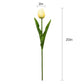Set of 6 Real Touch Artificial Tulip Stems, 20 inches Tall