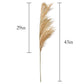 Set of 10 Artificial Pampas Grass Stems, 43 Inches Tall