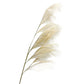 Set of 10 Artificial Pampas Grass Stems, 43 Inches Tall