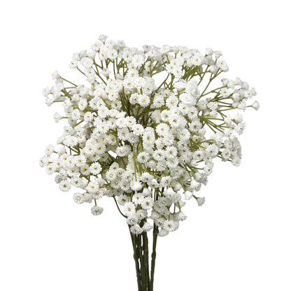 Set of 6 Artificial Baby's Breath Stems, 25 Inches Tall
