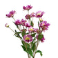 Set of 3 Artificial Butterfly Ranunculus Stems 30 Inches Tall