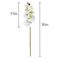 Set of 2 Artificial Orchid Flower Stems in Multiple Colors