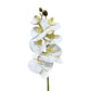 Set of 2 Artificial Orchid Flower Stems in Multiple Colors